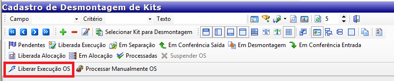 Botón LIBERAR EJECUCIÓN DEL SO